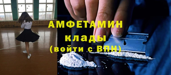 стаф Аркадак