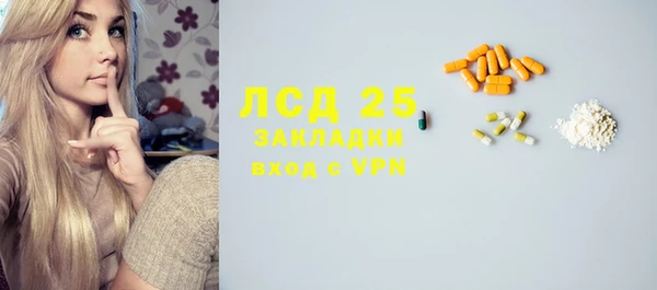 стаф Аркадак