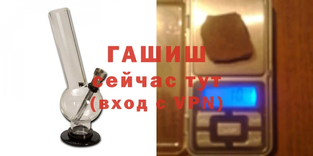 стаф Аркадак
