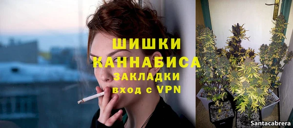 стаф Аркадак